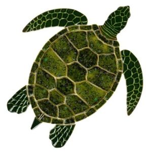 GREEN SEA TURTLE 10"x9" (CUSTOM MOSAICS INC - GT7-10)