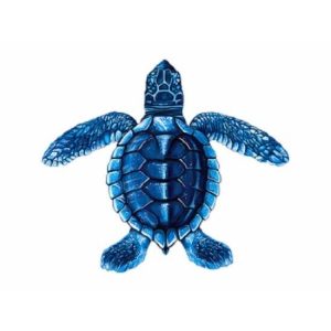 5" BLUE BABY TURTLE C (NPT - PORC-ST22C-BL)