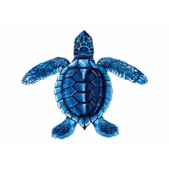 5" BLUE BABY TURTLE C (NPT - PORC-ST22C-BL)