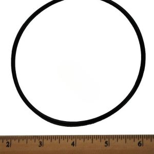 ENERGY FILTER O-RING **OEM (ZODIAC - R0374500)