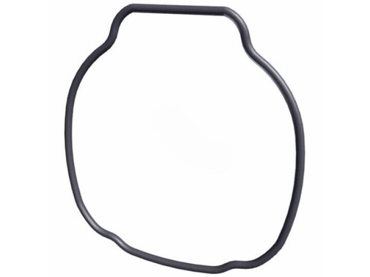 TRISTAR PUMP HOUSING O-RING (HAYWARD - SPX3200T)