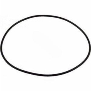 MULTIPORT VALVE COVER/ PB4 VOLUTE ORING (SUPER-PRO - O-299-9)