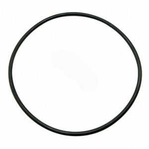 EQ SERIES PUMP HAIR AND LINT STRAINER LID GASKET (PENTAIR - 350166)