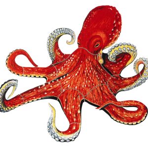 OCTOPUS 7"x6" (CUSTOM MOSAICS INC - PORC-OP16-7)