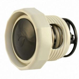 POLARIS 380/280/180 WHITE PRESSURE RELIEF W/ BLACK VALVE (ZODIAC - 9-100-9002)