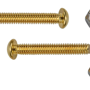 SAFETY LIFE HOOK HARDWARE SET 2 PACK - {#153} (PENTAIR - R221030)