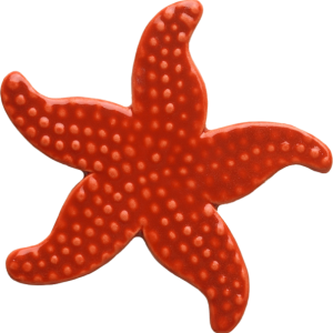 STARFISH 5" SUNSET (CUSTOM MOSAICS INC - 102SS)