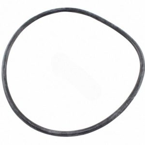 W530/W560 LEAF CANISTER LID O-RING (HAYWARD - AXW542)