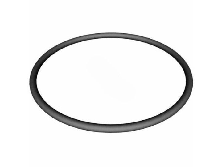 SUPER II STRAINER COVER (PUMP LID) O-RING - OEM (HAYWARD  - SPX3000S)