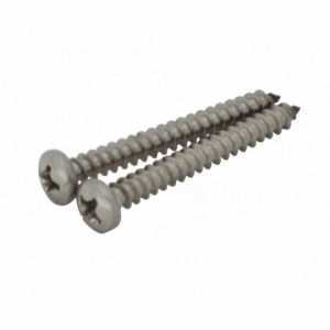 JET-VAC BACK WHEEL SCREW  **2 PACK!! (PENTAIR - JV48)