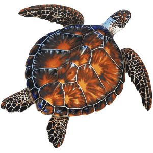 BROWN TURTLE 18"x18" (CUSTOM MOSAICS INC - PORC-BT10-18)