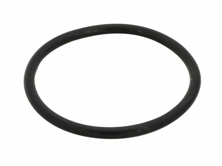 WHISPERFLO XF DIFFUSER O-RING (PENTAIR - 350336)