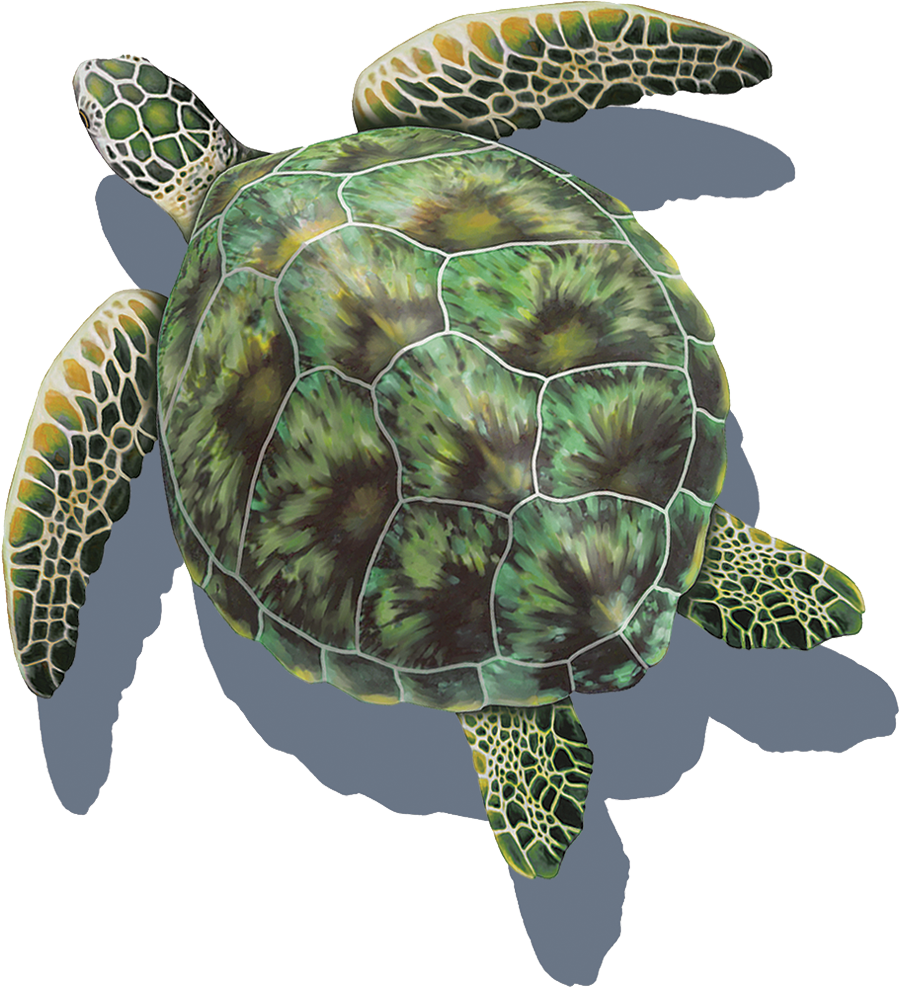 SHADOW GREEN SEA TURTLE 19"x19" (CUSTOM MOSAICS INC - PORC-GT3-18/SH)