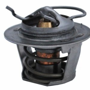 MAX-E-THERM THERMAL REGULATOR W/ CLIP (PENTAIR - 38000-0007S)