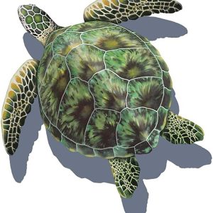 SHADOW GREEN SEA TURTLE 11"x11" (CUSTOM MOSAICS INC - PORC-GT3-10/SH)