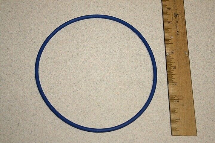 PRO SERIES VALVE/TANK O-RING **OEM (HAYWARD - GMX600F)