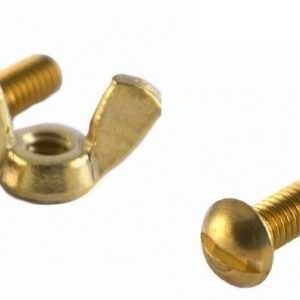 BRASS BOLT & WING NUT - 2 PACK - #155 (PENTAIR - R221156)