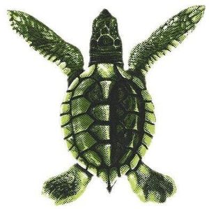 GREEN BABY TURTLE - C 5"x5" (CUSTOM MOSAICS INC - PORC-ST22C)