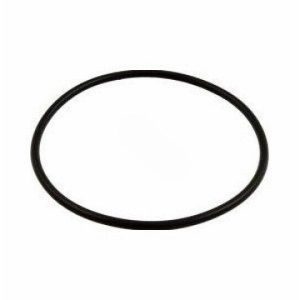 HAYWARD POWERFLO STRAINER COVER O-RING (SUPER-PRO - O-231)