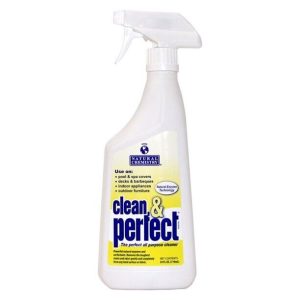 CLEAN & PERFECT - 22OZ (BIOLAB INC - 10176NCM)