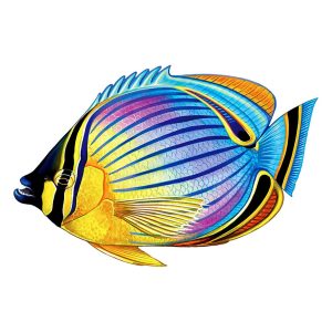 REDFIN BUTTERFLYFISH 9"x6" (CUSTOM MOSAICS INC - PORC-RF24-9)