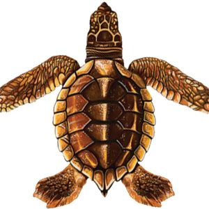 BABY TURTLE C - BROWN 5"x5" (CUSTOM MOSAICS INC - PORC-ST22C-BR)