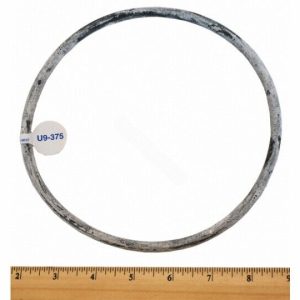 MAX-E-GLAS II/ SUPER II STRAINER COVER O-RING (SUPER-PRO - O-12)