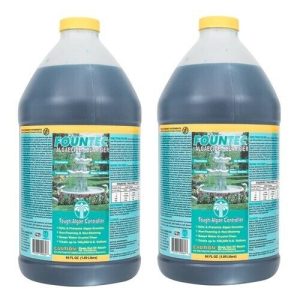 FOUNTEC - POWERFUL FOUNTAIN ALGAE TREATMENT+, 64 OZ 2-PACK (EASYCARE - 50064)
